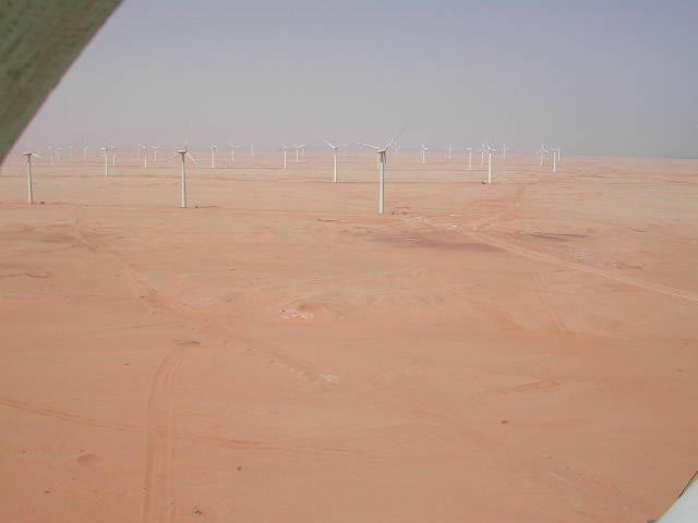 Wüstenstandort / Desert site